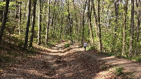 Fruškogorski maraton za vikend